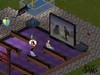 The Sims