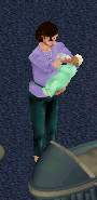 The Sims