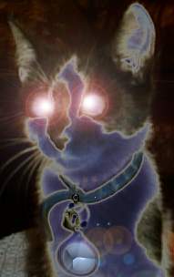 Kettir