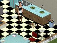 The Sims