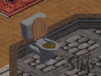 The Sims