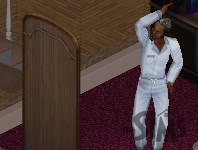 The Sims