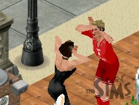 The Sims