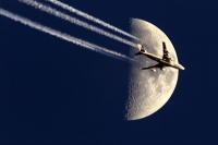 Flug