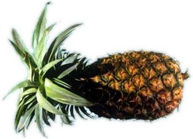 Grillaður ananas þetta er Geðgt.