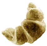 SkinkuOstsHorn