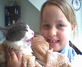Kettir