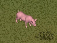 The Sims