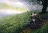 The Istari