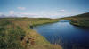 Veiði