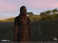 MMORPG