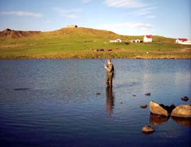 Veiði