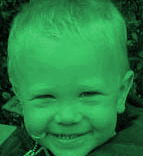 Græn Börn