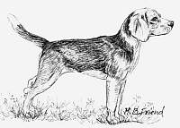 Hundar