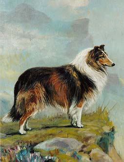 Hundar