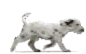 Hundar