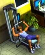 The Sims