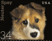 Hundar