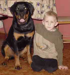 Hundar