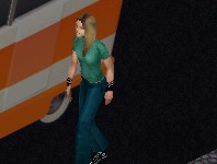 The Sims