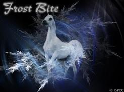 Hestar