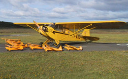 Flug