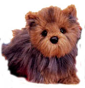 Hundar