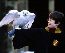 Harry Potter slær aðsóknarmet Júragarðsins.