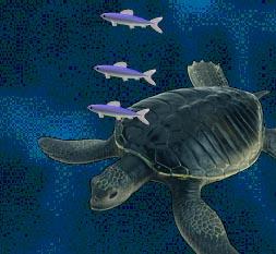 Fiskar