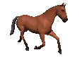 Hestar