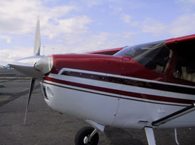 Flug