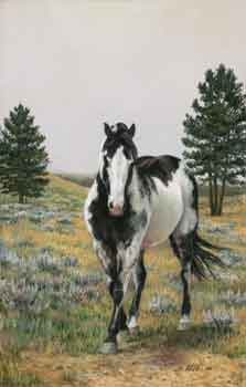 Hestar