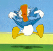 Brandarar