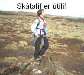 Skátar