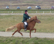 Hestar