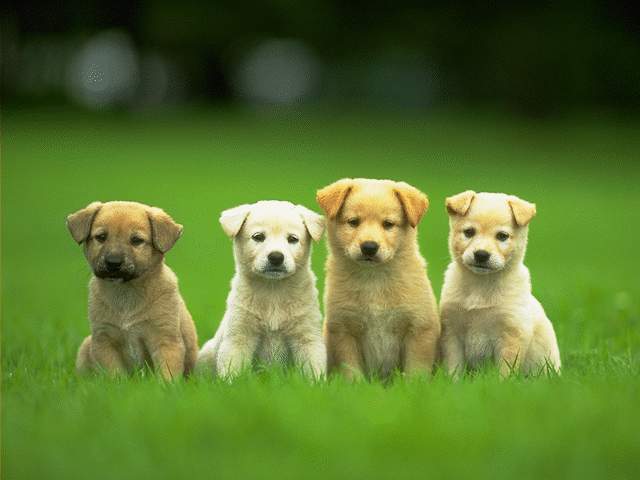 So Who Is The Cutest?