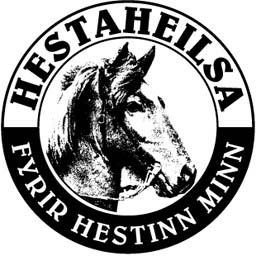 Hesturinn og reiðmennskan.