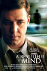 A Beautifyl Mind