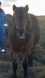 hulda..
