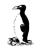 Geirfugl