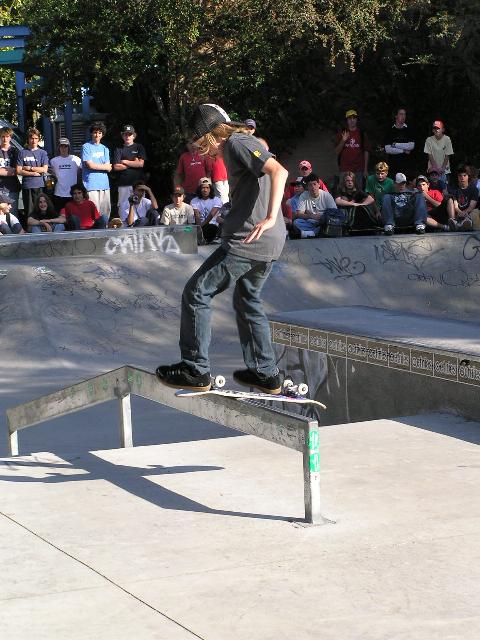 Shecklerinn