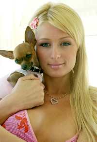 Paris Hilton