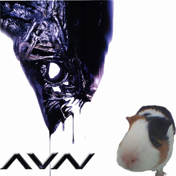 Av/\/