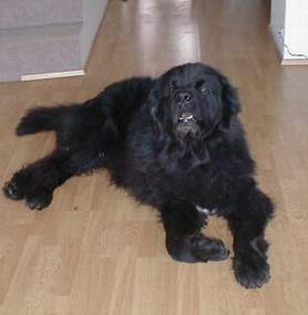 Sámur, dagur 2