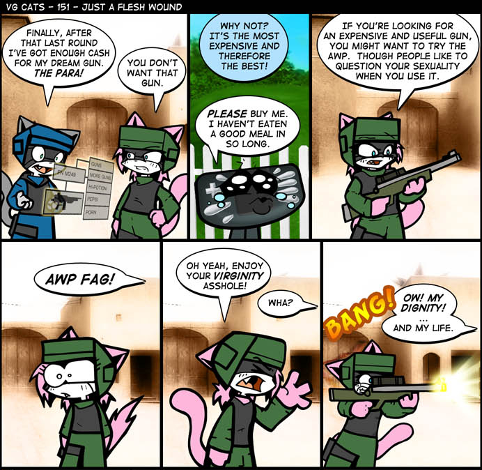 VG Cats once again playing CS