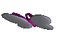 Fiðrildið