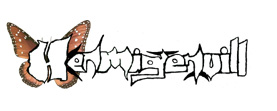 Hermigervill í keppninni.