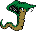 Slytherin Slangan & Þarfaherbergið
