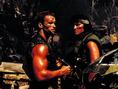 Arnold Quote