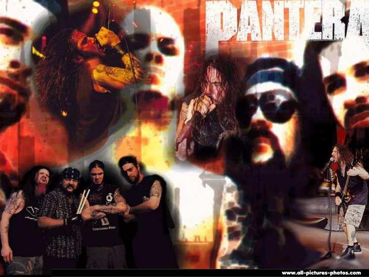 pantera